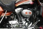 BJN20063
