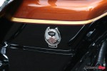 BJN20066