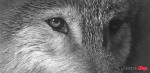 Close Encounter2