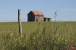 GRASS OLD BUILDING_0355 GRASS OLD BUILDING_0355