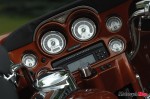 TRE_5695