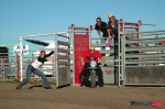 outta the gate-Tbear_6293