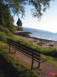 1 bench beach water 802 1 bench beach water 802
