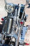 1 springer detail large_1655 1 springer detail large_1655