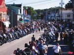 Wharf Rat street 060
