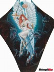 2007_1001angel20036 USE 2007_1001angel20036 USE