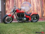 Buell_2594 Buell_2594