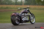 DSC_0025 DSC_0025