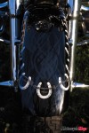 FranciBikeFrontFender FranciBikeFrontFender
