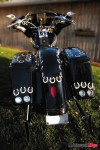 FrancisBikeRear2 FrancisBikeRear2