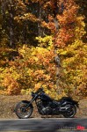 _MG_0027 _MG_0027