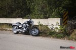 _MG_0049 _MG_0049