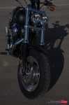 _MG_9756 _MG_9756
