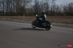 _MG_9780 _MG_9780