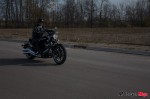 _MG_9782 _MG_9782