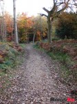 Path_0198