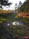 Path_0201