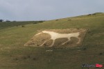 White Horse_0128