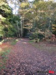 path_0197
