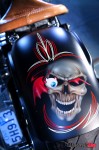 rear fender skul rear fender skul