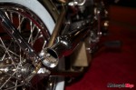 _MG_0009 _MG_0009