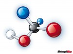 Molecule Molecule