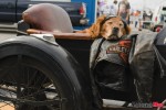 Dog Horz__A8C8608 Dog Horz__A8C8608