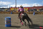 horse rodeo_6498 horse rodeo_6498