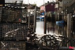 wharf traps_0264 wharf traps_0264