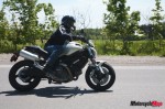 _MG_9894 _MG_9894