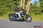 _MG_2101 _MG_2101