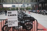 No Cages_1700 No Cages_1700