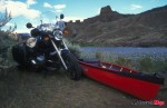 puffin_1 puffin_1
