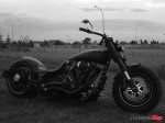 IMG_4590 IMG_4590
