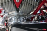 IMG_8230 IMG_8230