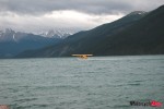 DSC_0306 DSC_0306