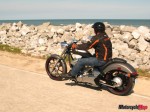 IMG_1667 IMG_1667