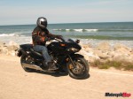 IMG_1731 IMG_1731