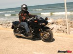 IMG_1733 IMG_1733
