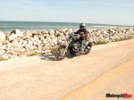 IMG_1815 IMG_1815