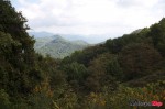 _MG_2718 _MG_2718