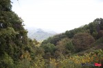 _MG_2719 _MG_2719