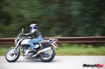 _MG_2736 _MG_2736