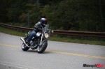_MG_2739 _MG_2739