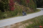 _MG_2784 _MG_2784