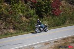 _MG_2785 _MG_2785