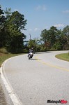 _MG_2800 _MG_2800