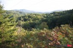 _MG_2847 _MG_2847