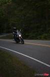 _MG_2896 _MG_2896