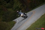 _MG_2955 _MG_2955
